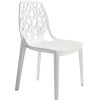 color blanca