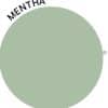 Mentha L