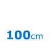 100.jpg